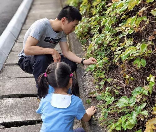 深圳宝马司机从未踏足珠海,却接连收罚单,交警全城布控追查