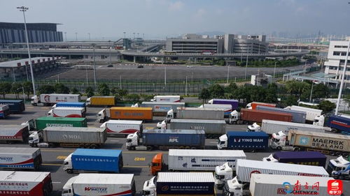 24小时全天通关 一站式 查验 珠海海产品一小时可达香港